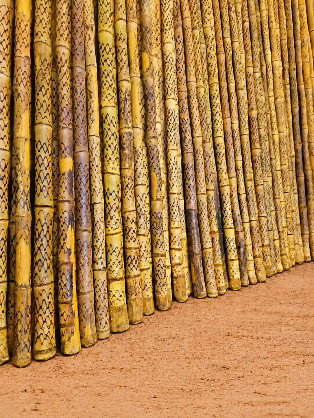 Premium Cobra Lathi (3)