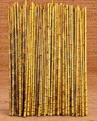 Premium Pili Lathi Chhada Utar (1)